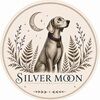 silvermoon26